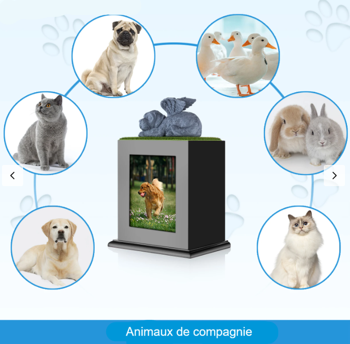 Urne bois chiens grise photo ange – Image 3