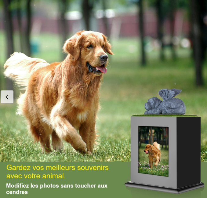 Urne bois chiens grise photo ange – Image 4