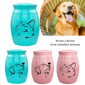 Urne miniature pour animaux jolie face