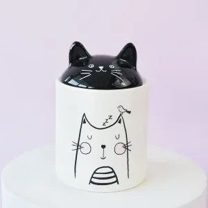 Jolie urne chat