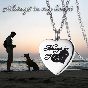 collier coeur argent noir